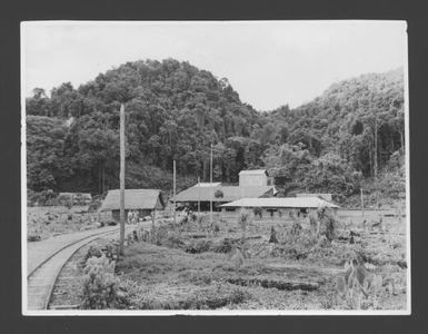 [Catechu or cutch factory in the Gulf Province, Papua New Guinea] Australian News and Information Bureau