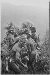 Pig festival, uprooting cordyline ritual, Tsembaga: decorated men dance on trail to enemy boundary, where uprooted plant will be placed