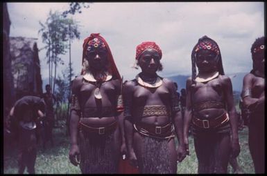 The Kukiga people, young women : singsing ground of the Kukiga Clan, Wahgi Valley, Papua New Guinea, 1955 / Terence and Margaret Spencer
