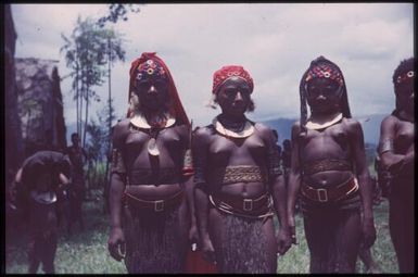 The Kukiga people, young women : singsing ground of the Kukiga Clan, Wahgi Valley, Papua New Guinea, 1955 / Terence and Margaret Spencer