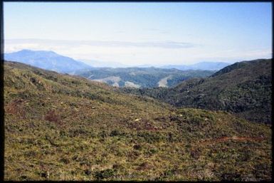 Maquis vegetation on main divide