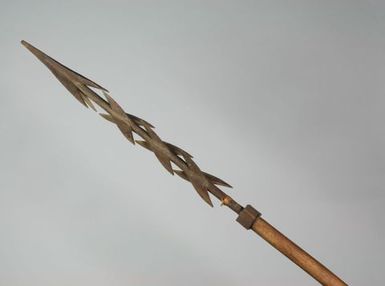 Barbed spear