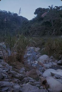 [Landscape of a stream, Papua New Guinea]