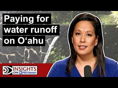 Storm Water Utility for Oʻahu | INSIGHTS ON PBS HAWAIʻI