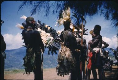 Wedding ceremony: waiting near the airstrip, the bride price : Wahgi Valley, Papua New Guinea, 1955 / Terence and Margaret Spencer