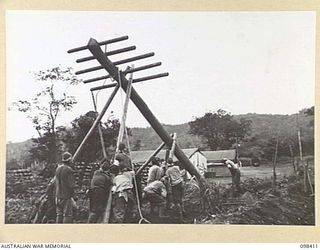 RABAUL, NEW BRITAIN. 1945-10-30. JAPANESE SIGNAL CORPS PERSONNEL ERECTING TELEPHONE POLES