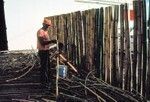 Bamboo Chair Factory