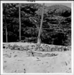 Marae viewed from front of beach looking south, Kaye between slab lined box containing burial no.3 and ahu part of marae, Sancho's Cove, Kamaka