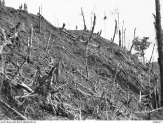 WEWAK AREA, NEW GUINEA, 1945-07-14. THIS PICTURE GIVES SOME IDEA OF THE EFFECT OF THE 4500 ROUNDS OF ARTILLERY CONCENTRATION AND POUNDING BY 350 MORTAR BOMBS ON "THE BLOT" WHICH TOOK PLACE BEFORE ..