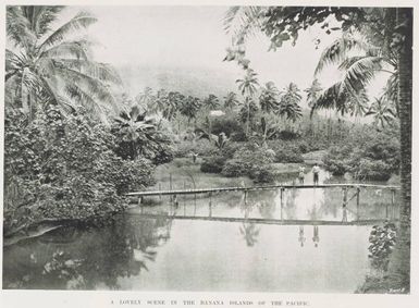 A lovely scene in the banana islands of the Pacific