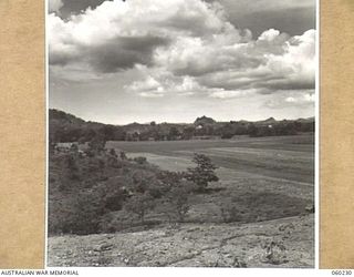 12 MILE, LALOKI RIVER, NEW GUINEA. 1943-11-15. A SECTION OF NO. 2 GARDEN OF THE 3RD AUSTRALIAN FARM COMPANY, AUSTRALIAN ARMY SERVICE CORPS