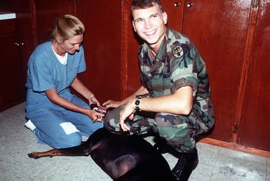 Dental Technician Second Class (DT2) C.J. Phillips is assisted by SGT. Holmes of the U.S. Army Medical Corps while cleaning the teeth of "Cain" at the U.S. Army Veterinary Clinic