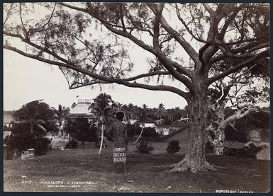 Nuku'alofa, Tongatapu, Tonga - Photograph taken by Alfred Burton of Burton Brothers