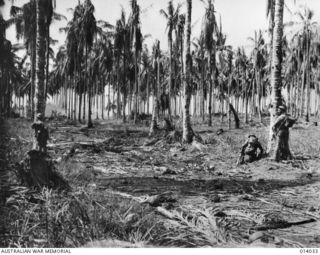 Australian-manned General Stuart M3 Light Tanks bust Japanese pillboxes in a final assault on Buna. Men of D Company, 2/12th Battalion, advance as tanks blast a pillbox. Shell burst on pillbox can ..