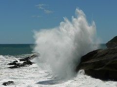 Blowhole on Seal Island