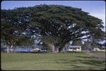 Buildings, Makira