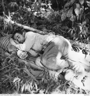 PAPUA, NEW GUINEA. 1942-10. JAPANESE SOLDIER CAPTURED BY 3RD AUSTRALIAN INFANTRY BATTALION (C.M.F.) BETWEEN MENARI AND EFOGI LYING ON THE ROUGH STRETCHER ON WHICH HE WAS BROUGHT IN