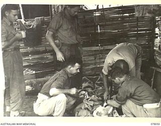 BOUGAINVILLE ISLAND. 1944-12-30. QX27712 CORPORAL R.T. WYATT, 25TH INFANTRY BATTALION RECEIVING A BLOOD TRANSFUSION AT THE UNIT REGIMENTAL AID POST AFTER BEING SERIOUSLY WOUNDED DURING THE ..