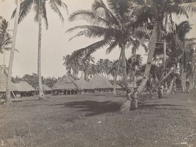 Palm trees and fales. From the album: Photographs of Apia, Samoa