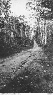 Kabakaul, New Britain. c. 1915. The position of a trench and landmine on the Kabakaul to Bitapaka Road