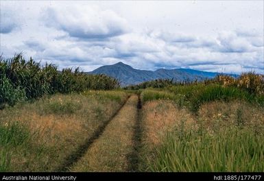 Rintebe Road - 4 miles from turn off