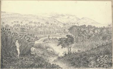 View of Papiate [i.e. Papeete] taken near Mr Crook's house, Taheite