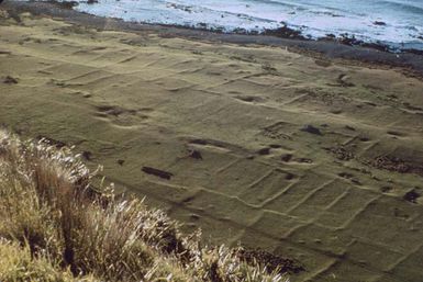 Ngā rohe ahuone o Ōkoropunga