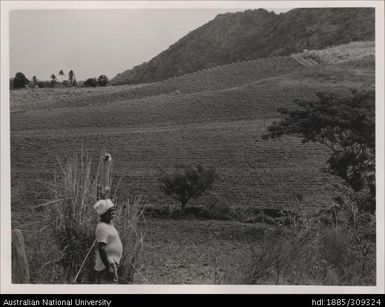 Baghelu's farm, Wailoko District, Esivo Sector