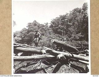 KOKODA TRAIL, NEW GUINEA. 1943-12-19. MEN OF THE 2/9TH AUSTRALIAN INFANTRY BATTALION MOVING TO THE LOCATION POINT IN THE OWEN STANLEY RANGES FOR THE FILMING OF SEQUENCES FOR THE "RATS OF TOBRUK" BY ..