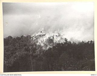 WEWAK AREA, NEW GUINEA, 1945-07-14. 2/1 FIELD REGIMENT AND 2/3 FIELD REGIMENT, FIRED 4,500 25-POUNDER SHELLS OVER A PERIOD OF 45 MINUTES. THIS WAS FOLLOWED BY 350 3-INCH MORTAR BOMBS AND 500 ROUNDS ..