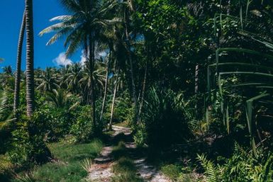 Road into bush, Atafu, Tokelau