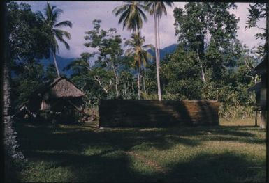 The training wall, used to accustom the spraymen to the correct rhythm for spraying the inside walls of village houses : D'Entrecasteaux Islands, Papua New Guinea, 1956-1959 / Terence and Margaret Spencer