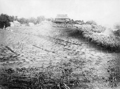 Bungalow at Na Soqo from the south east