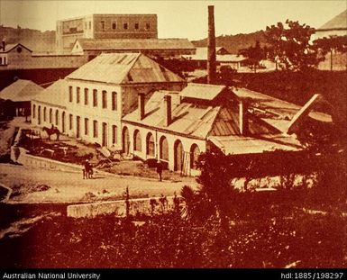 New Caledonia - factory, workhorses