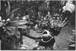 Pig festival, pig sacrifice, Tsembaga: behind ritual fence, decorated men wait to give salted pork to allies