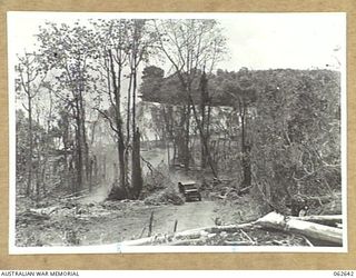 KILIGAI BEACH, NEW GUINEA. 1943-12-29. A SECTION OF THE BEACH AREA SHOWING THE BOMB BLAST DAMAGE TO THE TREES AND VEGETATION IN THE BOMBED AREA