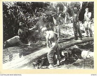 BOUGAINVILLE ISLAND. 1945-02-12. PERSONNEL OF THE 5TH FIELD COMPANY, LAYING AND FIXING WIRE MESH ON A TEMPORARY JEEP BRIDGE ON THE MOSIGETTA ROAD