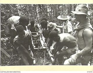 1943-08-03. NEW GUINEA. MUBO CAMPAIGN. AUSTRALIANS, AMERICANS AND NATIVES PULLING PART OF AN AMERICAN ARTILLERY PIECE UP A GRADE OF NEARLY ONE IN ONE IN JUNGLE COUNTRY TO BOMBARD JAP POSITIONS NEAR ..