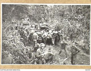 SATTELBERG AREA, NEW GUINEA. 1943-11-17. TANKS OF THE 1ST AUSTRALIAN ARMY TANK BATTALION AND TROOPS OF THE 2/48TH AUSTRALIAN INFANTRY BATTALION WAITING FOR THE ORDER TO BEGIN THE ATTACK ON ..