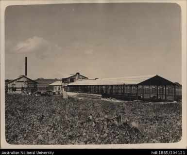 Pineapple Cannery