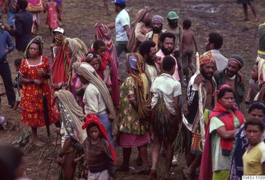 ["åskådare, fotbollsmatch, fotografi, photograph"]