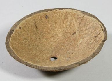 Coconut Shell Disc