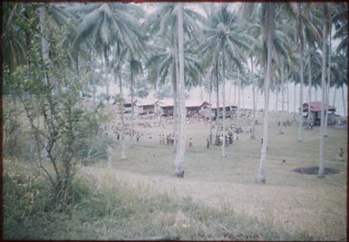 Looking from our house to hospital staff quarters (1) : Mapamoiwa Station, D'Entrecasteaux Islands, Papua New Guinea, 1956-1959 / Terence and Margaret Spencer