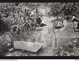 HANSA BAY, NEW GUINEA. 1944-07. JAPANESE QUARTERS IN A PALM GROVE