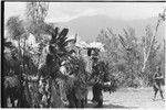 Pig festival, singsing, Kwiop: group of men with feather headdresses play kundu drums