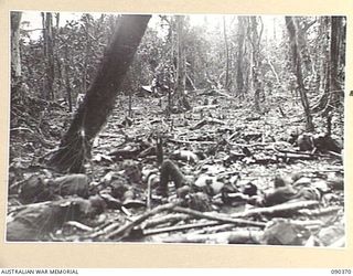 BOUGAINVILLE. 1945-04-06. JAPANESE DEAD SCATTERED THROUGH THE AREA AFTER THEIR ATTACK AGAINST SLATER'S KNOLL. THE POSITION HELD BY B COMPANY, 25 INFANTRY BATTALION IS IN THE BACKGROUND