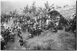 Pig festival, pig sacrifice, Tsembaga: large crowd on dance ground below ritual fence, Allison Jablonko (l) films