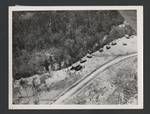 Aeriel view of Embi?, an evacuation camp after Mount Lamington eruption, Papua New Guinea, 1951