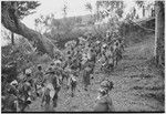 Pig festival, uprooting cordyline ritual, Tsembaga: men make stylized aggressive charge near clan boundary