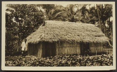 Creator unknown : Photograph of a house, Rarotonga, Cook Islands